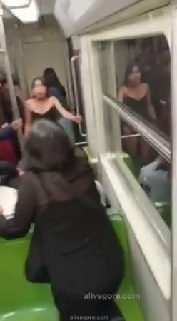 Fight Between Two Women In The Subway