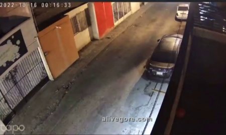 I Think A Burglar Jumped From A Balcony, Scared Of A Fighting Dog... (no description of the species in the source)