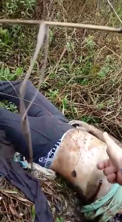 The Rotten Body Of A Man Lying In The Woods