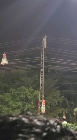The Idiot Climbed The Electric Pole To Get The Kite And Of Course Was Electrocuted. India