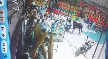 A Cow Stabbed A Passerby With Its Horns. India