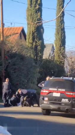 Policemen Beat The Suspect, The Dog Helps Them