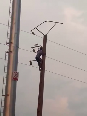 Idiot Climbed An Electric Pole Trying To Get A Pigeon
