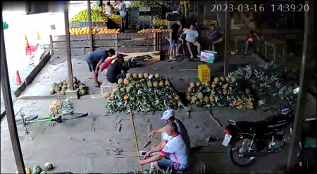 Murder At The Fruit Market. Ecuador