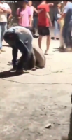 Man Caught Stealing Beaten And Shot. Mexico