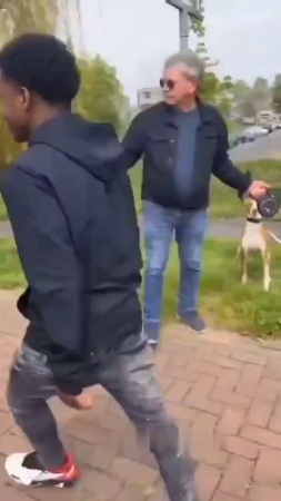 An Elderly Man Is Walking His Dog When He Is Set About By A Young Immigrant Gang. Netherlands