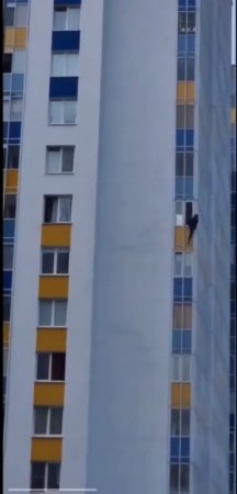 A Woman Climbed Out The Window On The Eighth Floor And Fell. Russia