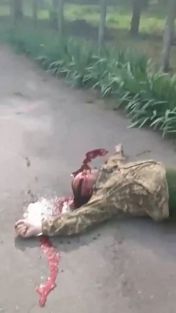 A Soldier Of The Ukrainian Army Refused To Go Into Battle And Shot His Commander. Ukraine
