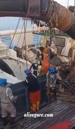 A Dead Fisherman Is Pulled Out Of The Hold With A Crane By The Leg