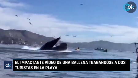 The Shocking Video Of A Whale Swallowing Two Tourists On The Beach. Spain
