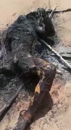 The Charred Remains Of A Man Executed By A Crowd Of Residents