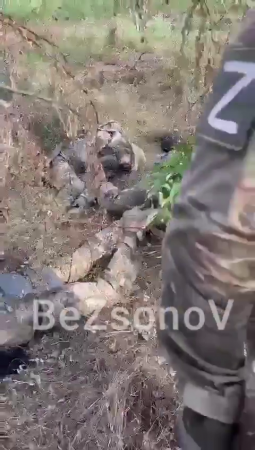 Some Dead Ukrainian Soldiers