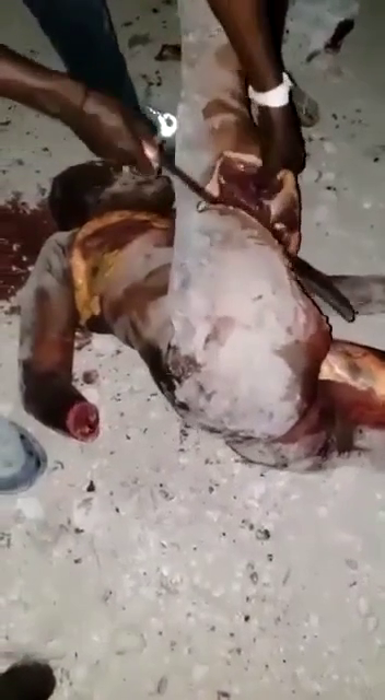 Savages Cut Into Pieces The Body Of A Murdered Woman ... 