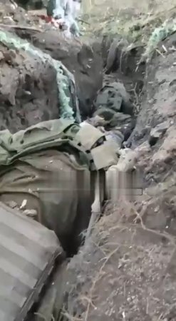 Dozens Of Corpses Of Ukrainian Soldiers In The Trenches