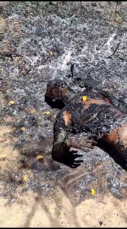 The Burnt Body Of A 19-Year-Old Man Was Discovered In The Municipality Of Pesqueira