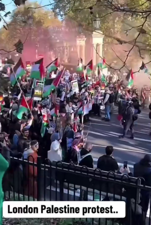 Biggest Protest Ever In London - Hundreds Of Thousands Of People Marching For The Palestinian People