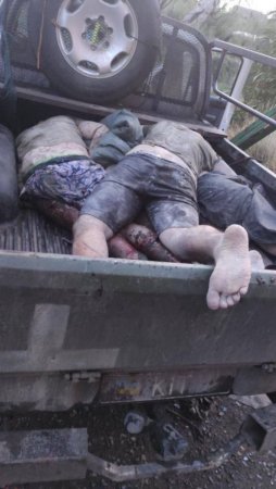 A Bunch Of Dead Ukrainian Soldiers