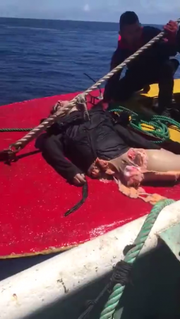 Man Killed By A Shark. Ecuador