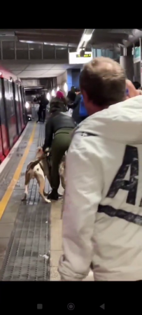 Dog Attack On Man At Stratford Station