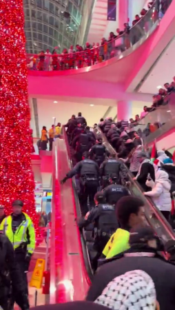 Pro-Palestine Protesters Have Decided To Target A Mall In Canada During Christmas