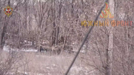 Snipers Of The 58th Battalion Of The Donetsk Republic Destroy Ukrainian Nazis