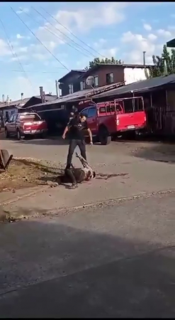 A Man Kills A Man Lying On The Ground With A Knife In The Middle Of The Day