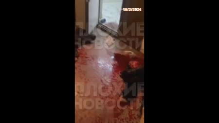 25 Year Old Crazy Bastard Killed 5 Members Of His Family.  Azerbaijan