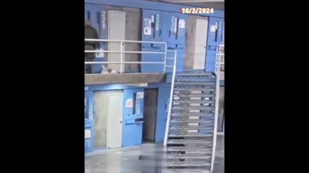 Prisoner Tried To Commit Suicide