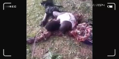 Nigerian Bandits Display Killed And Beheaded Rivals