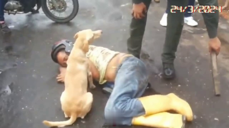 The Dog Won't Let People Near His Dead Owner's Body