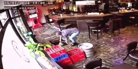 Woman Falls Into A Hole While Entering A Cafe. Belgium