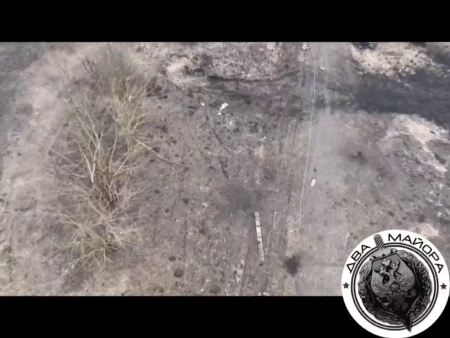 The Border Of The Belgorod Region Is Strewn With The Corpses Of Soldiers From Ukrainian Sabotage Groups