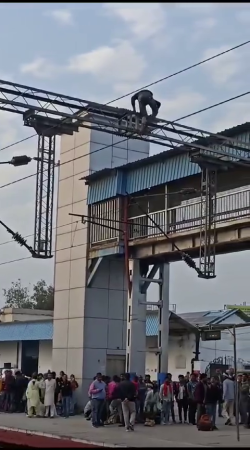 Dude Decided To Commit Suicide Due To Job Loss. India