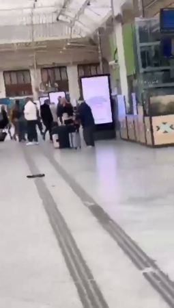 A Naked Dude Throws His Shit At People Waiting For A Train. Paris