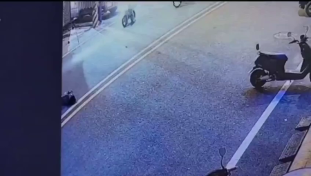 Cat Almost Caused The Death Of A Girl On A Scooter