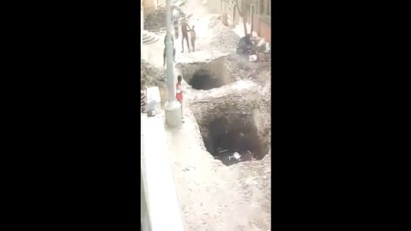 Two Donkeys Fell Into A Huge Hole In The Road