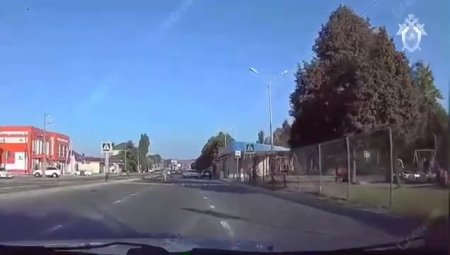 At A Pedestrian Crossing, The Bastard Hit A Woman With Two Children