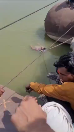 An Attempt To Cure A Snake Bite Ended In Failure. India