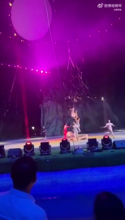 A Failed Circus Stunt