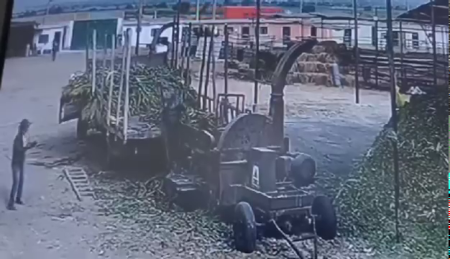 The Feed Shredder Reduce To Fragments The Worker Who Fell Into It