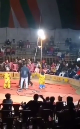 Circus Gymnast Chokes And Dies During Performance