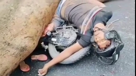 Motorcyclist Is Crushed By A Huge Fallen Tree