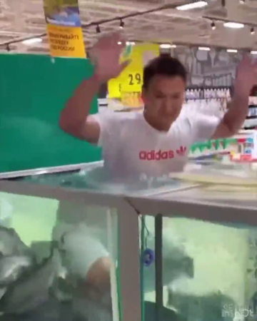 Streamer Idiot Immigrant Climbed Into The Aquarium At The Mall. Krasnoyarsk, Russia