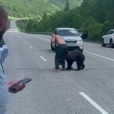 The Bear Went Out On The Road To Eat Treats From The Drivers. Far East, Russia