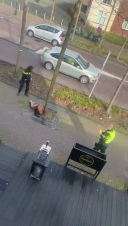 Dutch Police Takes Direct Aim. They Shot Him Right In The Testicles With A Taser