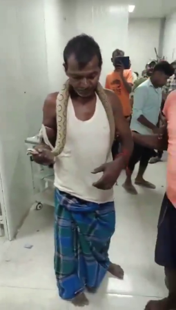 A Man Bitten By A Snake Died In The Hospital Without Waiting For Help. India