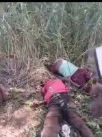 Jihadists From The Upc Group Executed 7 Local Residents Christians. 6 Motorcyclists And A Pregnant Woman. Democratic Republic Of The Congo