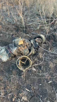 Rotting Bodies Of Ukrainian Nazis Somewhere In The Kursk Region