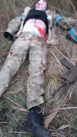 Dead Ukrainian Fascists In The Kherson Region