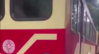 A Tourist Was Hit By A Train In A National Park In Taiwan